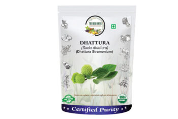 Dhattura Stramonium
