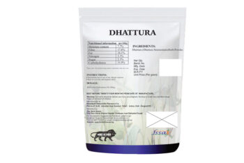 Dhattura Stramonium