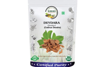 Cedrus Deodar